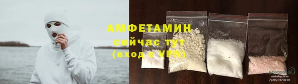 хмурый Магас