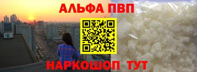твердый Кингисепп