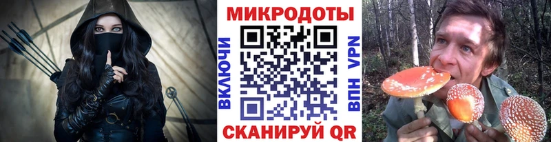 Псилоцибиновые грибы Cubensis  Саратов 