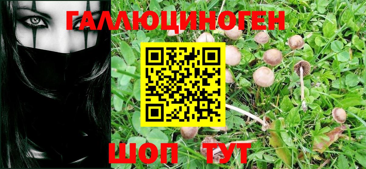 закладка  Вход с VPN  Саратов  Псилоцибиновые грибы MAGIC MUSHROOMS 