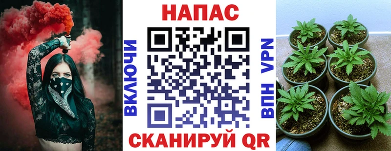 МАРИХУАНА ГИДРОПОН Саратов